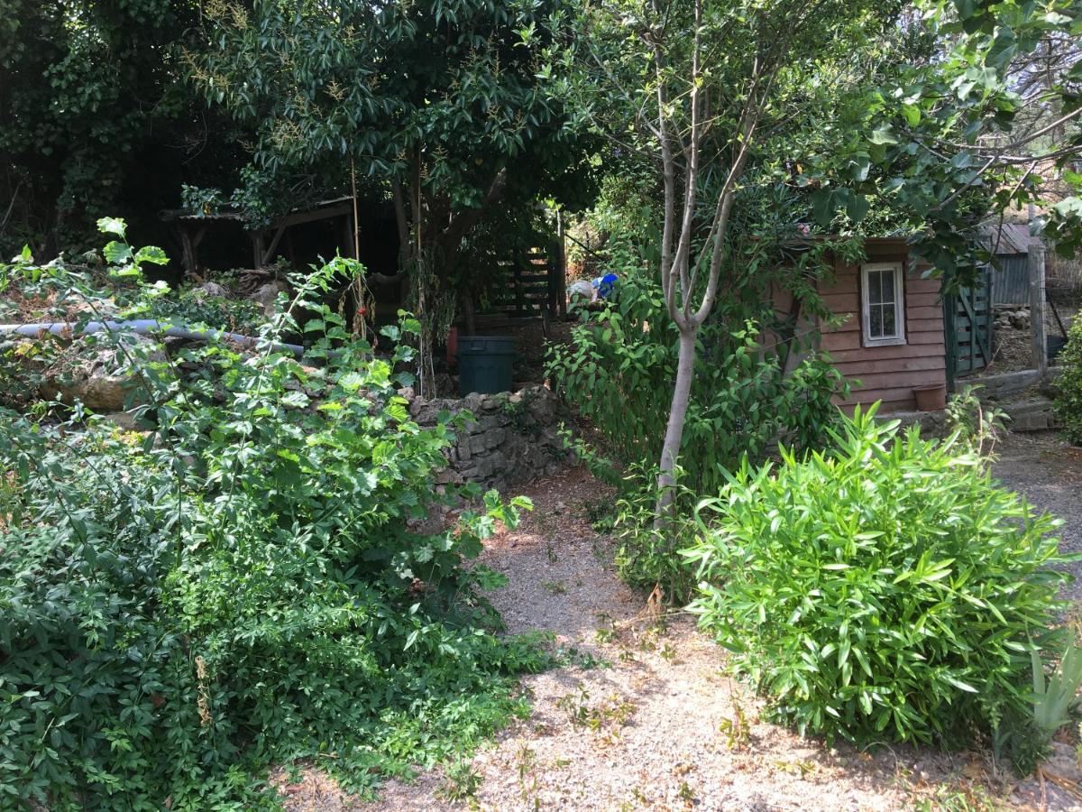 Chez Tatie Menie Bed & Breakfast Fraisse-des-Corbieres Ngoại thất bức ảnh